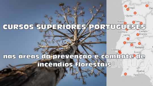 Oferta formativa em áreas ligadas à prevenção e combate de incêndios florestais Oferta Formativa nas áreas ligadas à prevenção e combate de incêndios florestais