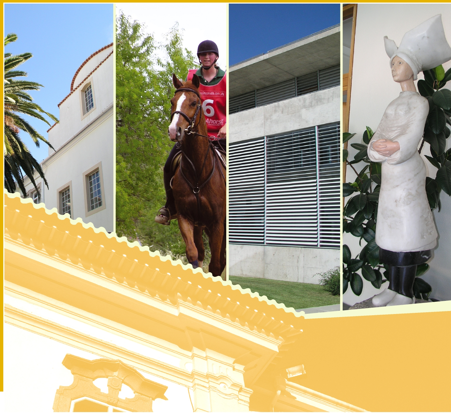 Instituto Politécnico de Portalegre