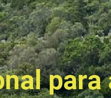 CNIPES promoveu Bootcamp estratégico no Convento da Arrábida