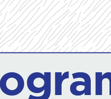 Programa +Superior Ano Letivo 2018/2019