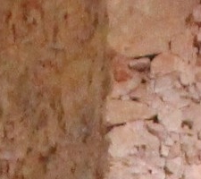 No lançamento do Guia do Voluntariado, a Transforma Portugal apresentou resultados