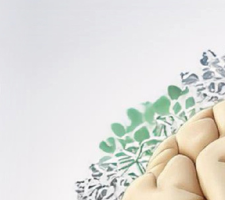 Webinar “Cheque-Psicólogo e Cheque-Nutricionista: O Processo” 